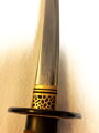 Kenshin katana sakabato