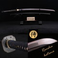 Katana Renshu Practical