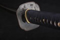 Katana Renshu Practical