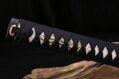 Katana Renshu Practical