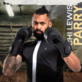 BOXING GLOVE F15 MATTE NOIR