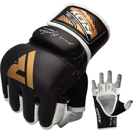 BOXING GLOVES PRO MMA T2 GL